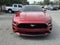 Ford Mustang GT Premium Fastback 2022