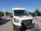 Furgoneta Ford Transit Cargo T250 2023