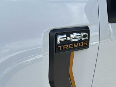 Ford F-150 Tremor 2024