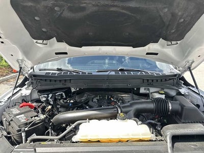 Ford F-150 Tremor 2024
