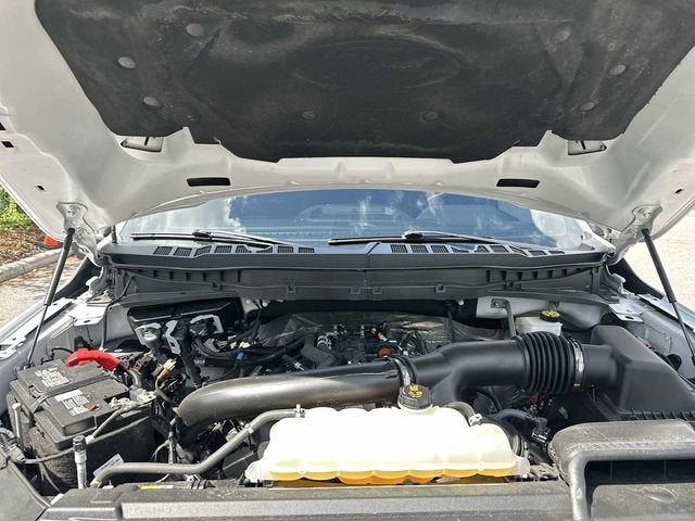 Ford F-150 Tremor 2024