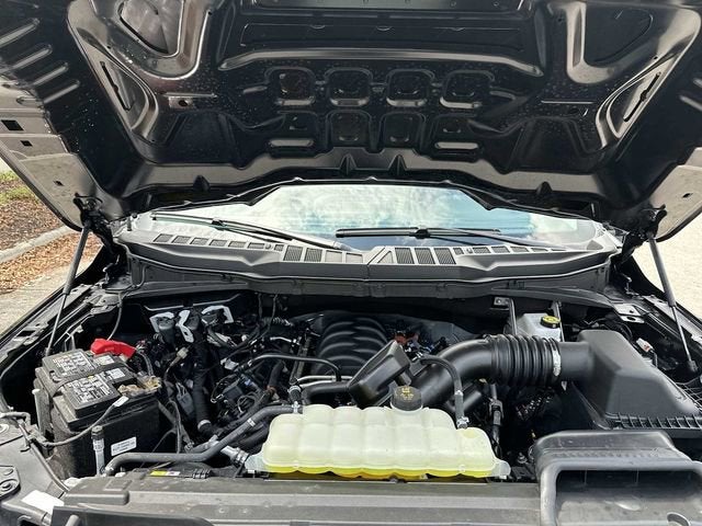 Ford F-150 XL 2025