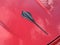 Chevrolet Corvette Stingray 2LT 2022