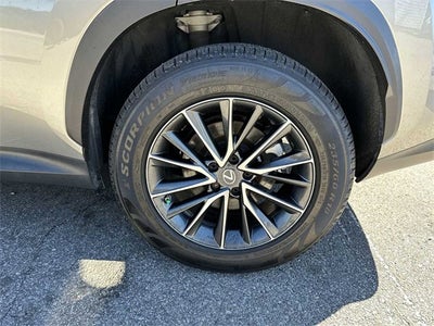 Lexus NX NX 350 Premium 2023