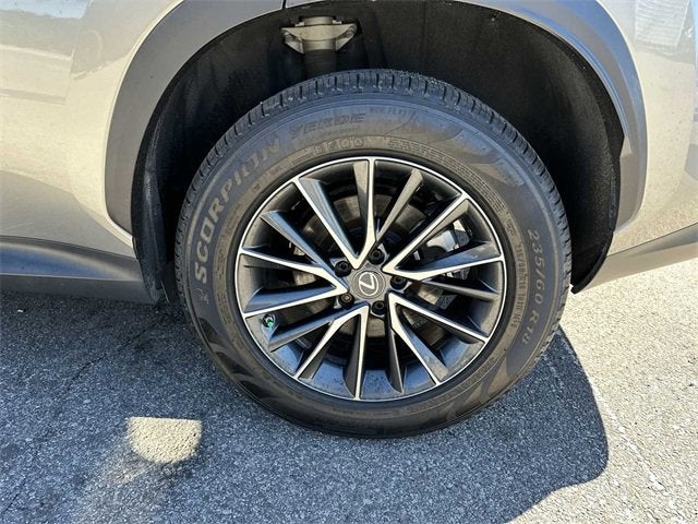 Lexus NX NX 350 Premium 2023