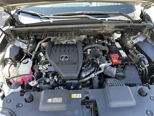 Lexus NX NX 350 Premium 2023