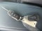 Ford Maverick XL 2026