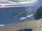 Chevrolet Silverado 1500 ZR2 2024
