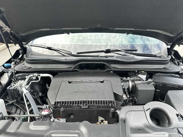 Honda Passport AWD TrailSport Elite Blackout 2026