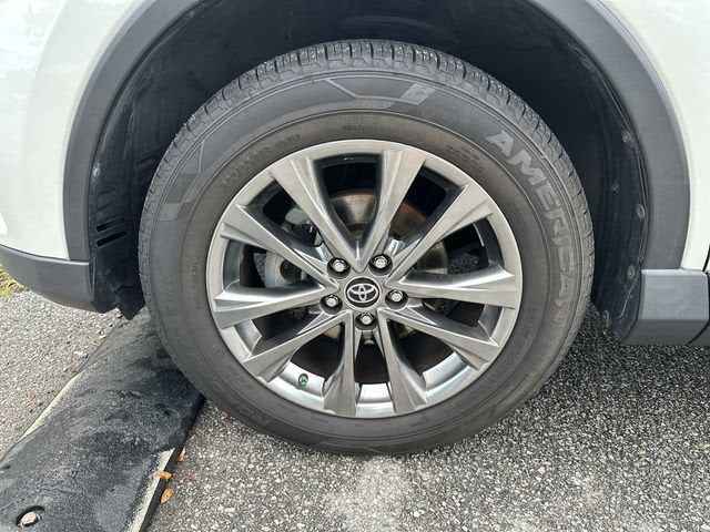 Toyota RAV4 Platinum 2018